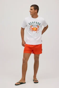 Chanclas verde caqui estampado seafood