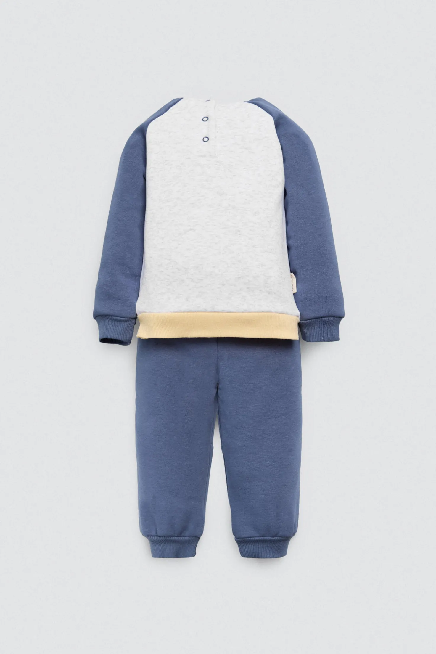 Conjunto bebé sudadera y jogger Penguin Toy