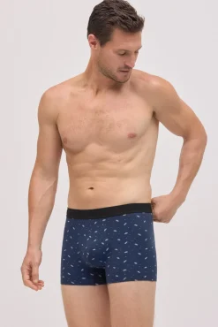 Pack 6 bóxers estampados