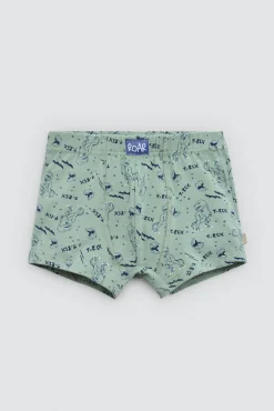 Pack 2 bóxers infantiles algodón estampados Roar