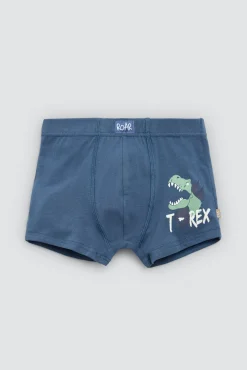 Pack 2 bóxers infantiles algodón estampados Roar