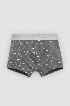 Pack 2 bóxers juveniles algodón estampados Music