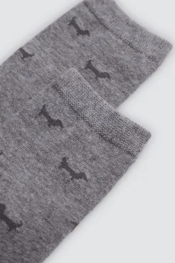 Pack 3 calcetines estampados mascotas