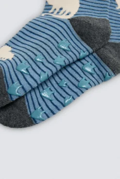 Pack 3 calcetines infantiles térmicos antideslizantes Dino