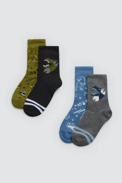 Pack 4 calcetines infantiles estampados Roar