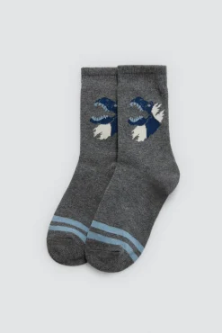 Pack 4 calcetines infantiles estampados Roar