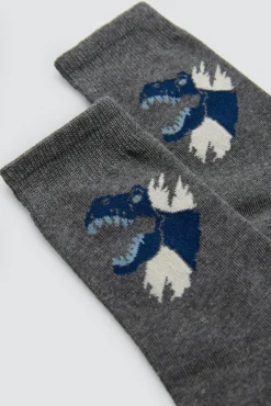 Pack 4 calcetines infantiles estampados Roar