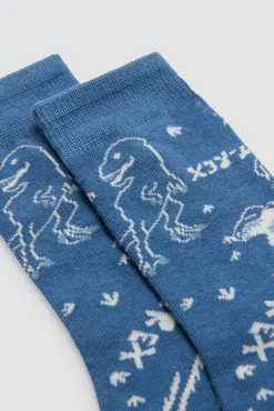 Pack 4 calcetines infantiles estampados Roar