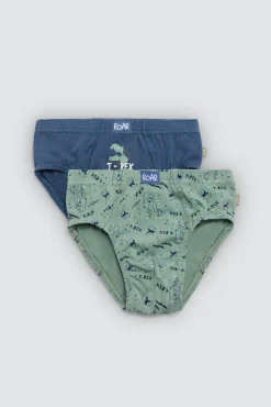 Pack 2 slips infantil algodón estampados Roar