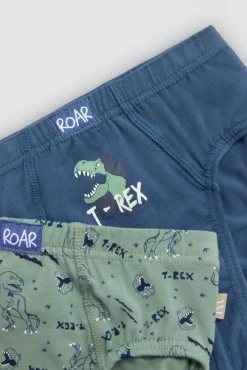 Pack 2 slips infantil algodón estampados Roar