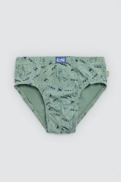 Pack 2 slips infantil algodón estampados Roar