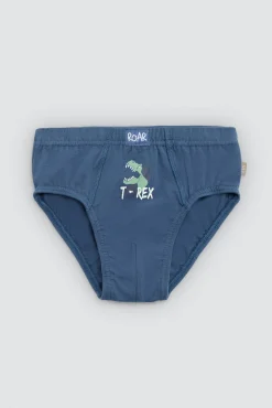 Pack 2 slips infantil algodón estampados Roar