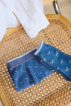 Pack bóxer y calcetín estampado perro salchicha