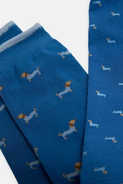 Pack bóxer y calcetín estampado perro salchicha