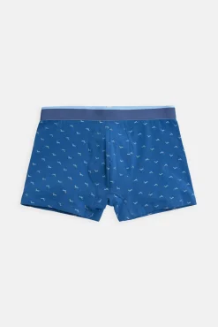 Pack bóxer y calcetín estampado perro salchicha