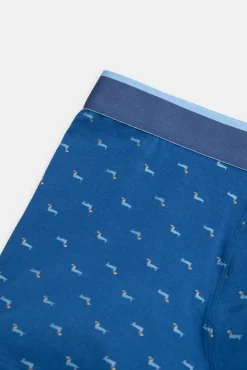 Pack bóxer y calcetín estampado perro salchicha