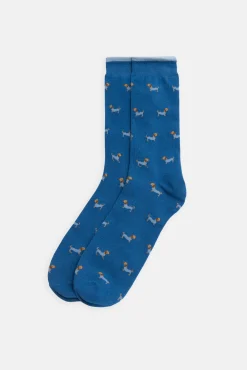 Pack bóxer y calcetín estampado perro salchicha